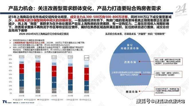 深度解析，2024王中王精准资料与精选解释解析落实策略