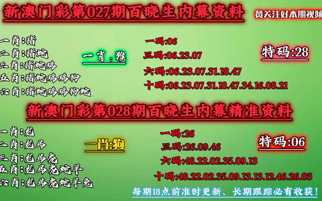 新澳门精准四肖期期中特公开与精选解释解析落实策略