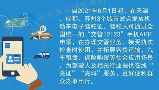 一码一肖，精准生肖第六期解析与落实策略精选解释解析落实