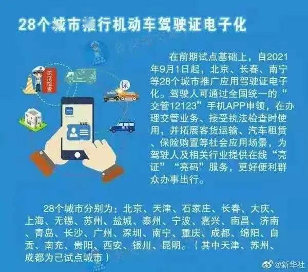 管家婆204年资料一肖配成龙，解析与落实精选策略