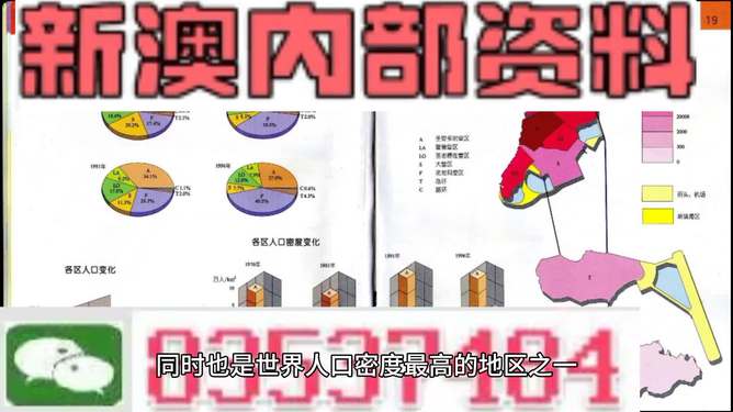 新澳门资料大全正版资料查询，精选解释解析与落实