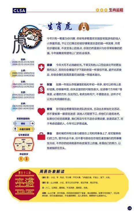 澳门今晚生肖预测与解析——深入解读未来运势走向