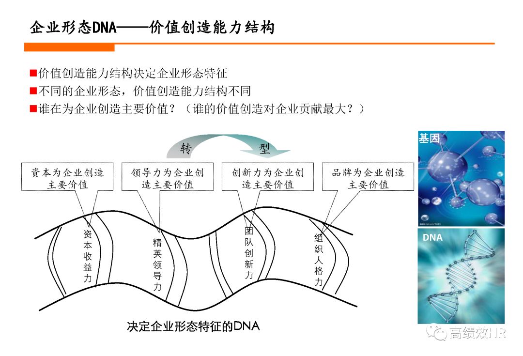 澳门今晚生肖开什么，解析与精选解释解析落实