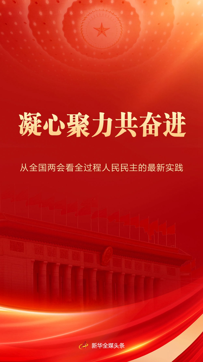 深入解读澳门正版资料第76期，解析与落实的关键步骤