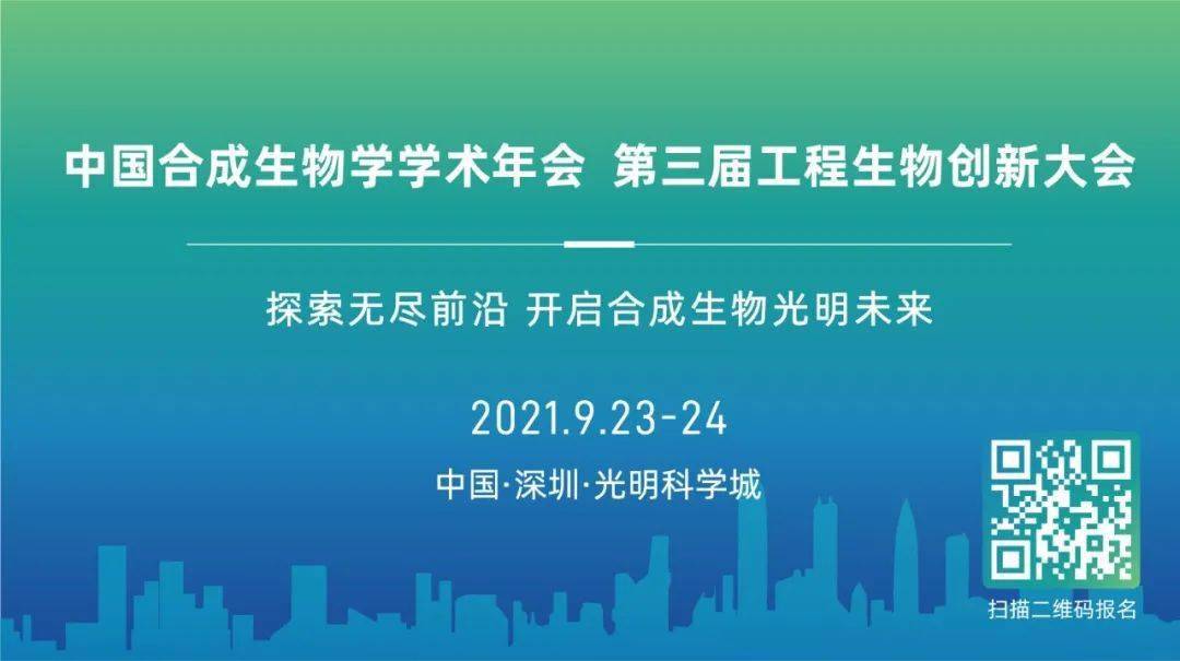 探索未来之门，解析澳门免费资料大全在2024年的精选内容与落实策略