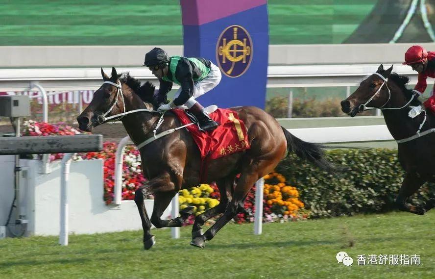 香港今晚开什么特马,香港今晚的马票结果预测与赛马文化深度解析