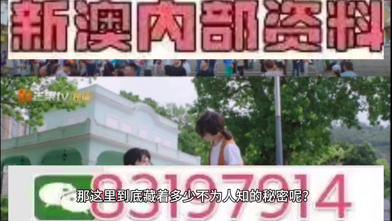 澳门特马今晚开码网站,澳门特马今晚开码网站——探索澳门彩票文化的魅力