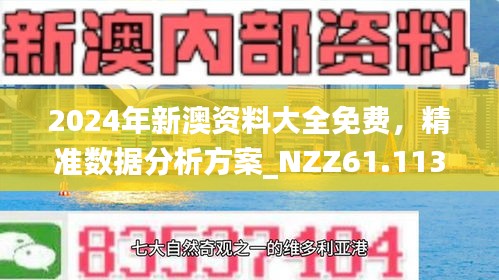 新澳正版资料与内部资料的深度解析,新澳正版资料与内部资料的深度解析