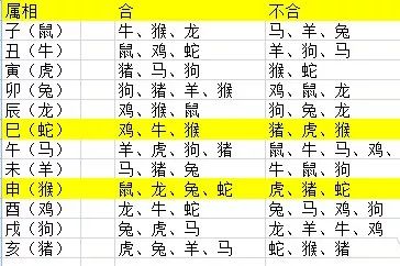 2025年12生肖49码图,揭秘2025年十二生肖与49码图的神秘关联