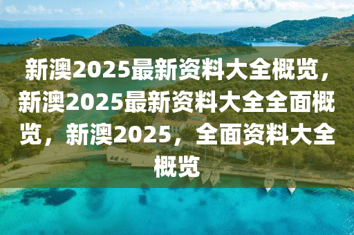 新澳2025大全正版免费资料,新澳2025大全正版免费资料，探索与启示