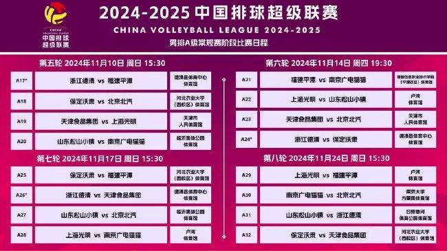 新奥门资料大全正版资料2025,新澳门资料大全正版资料2025，探索与解读