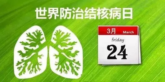 626969澳彩资料大全24期,探索澳彩世界，626969澳彩资料大全的24期深度解析